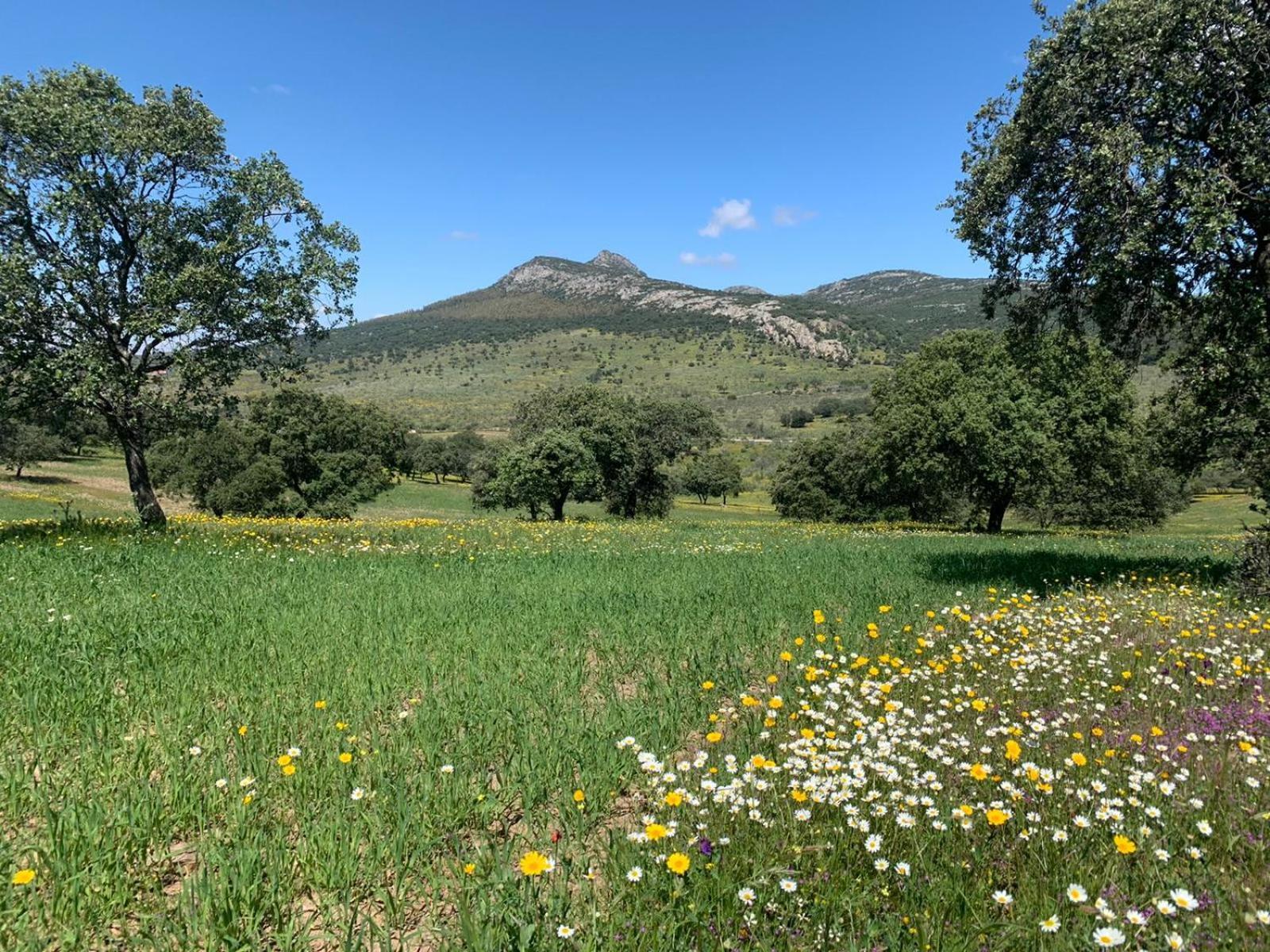 Sierra Hornachos Villa Dış mekan fotoğraf
